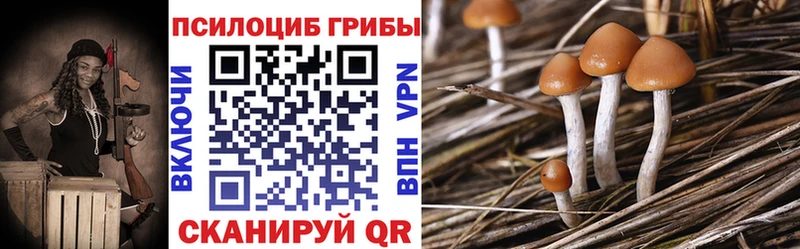 где купить наркоту  Данилов  Галлюциногенные грибы MAGIC MUSHROOMS 